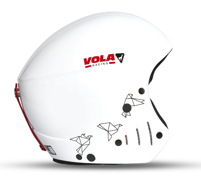 FIS HELMET(Wild White)