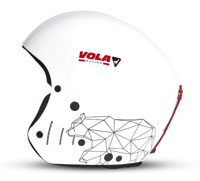 FIS HELMET(Wild White)