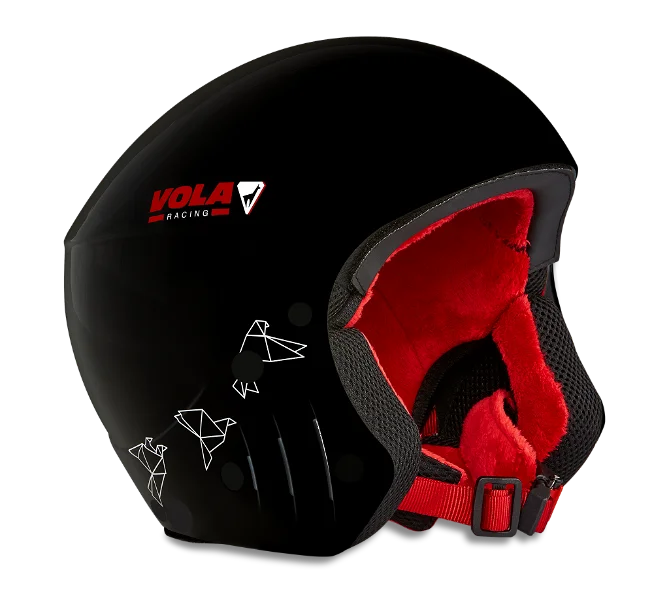 FIS HELMET (Wild Black)