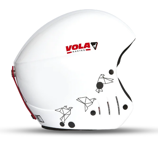 FIS HELMET（Wild White)