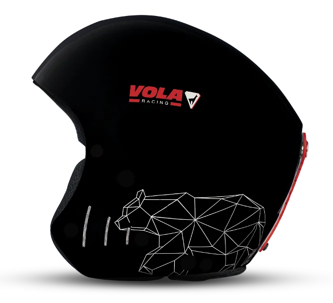 FIS HELMET (Wild Black)