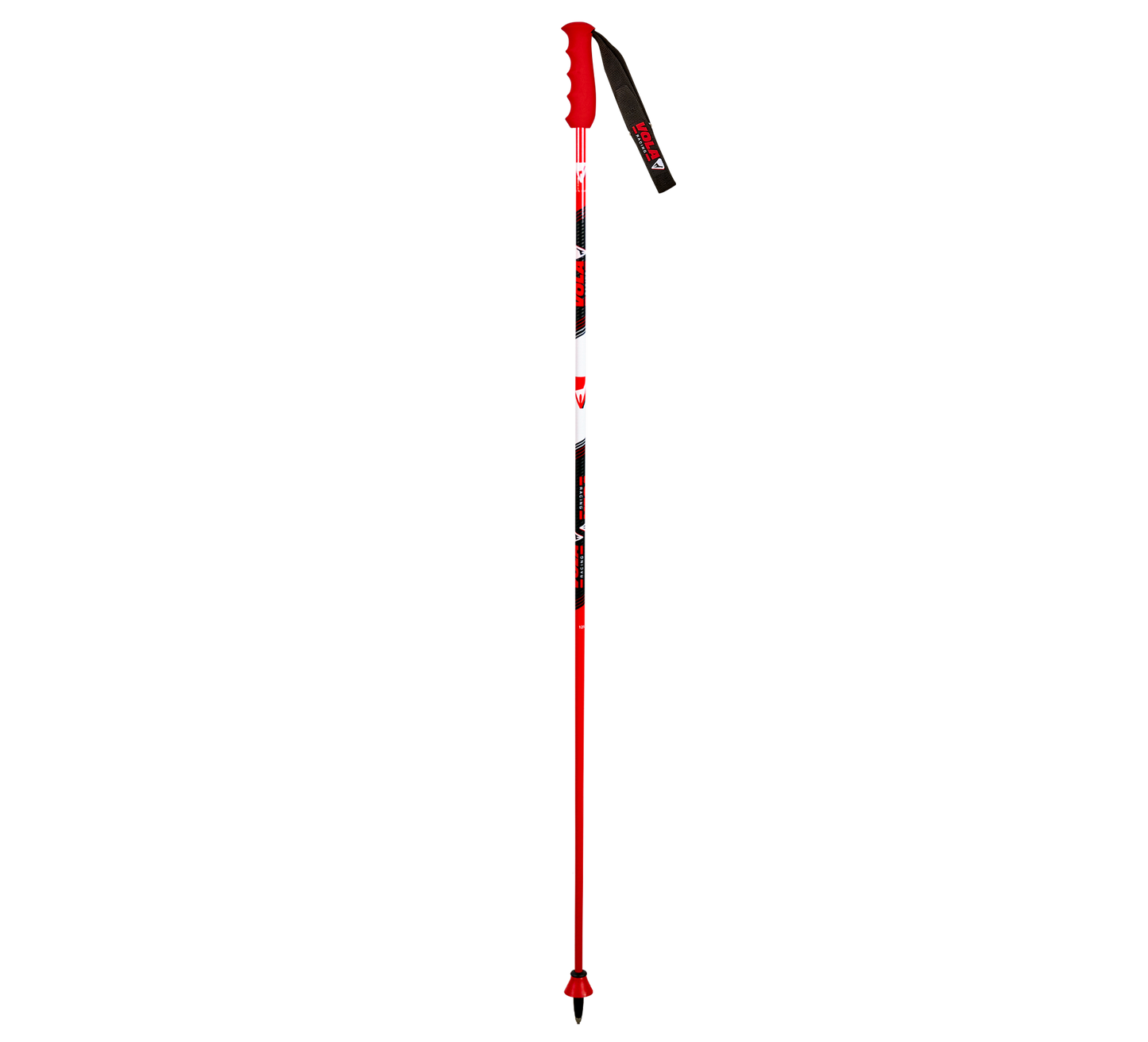 GS Carbon Poles