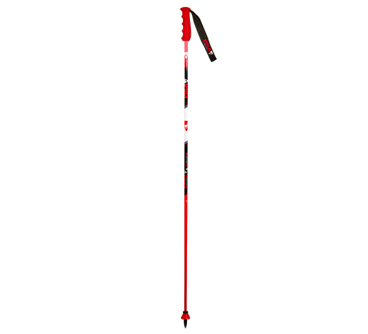 GS Carbon Poles