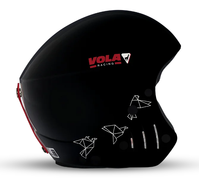 FIS HELMET (Wild Black)