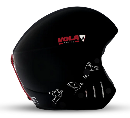 FIS HELMET（Wild Black)